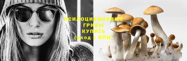 стафф Нефтегорск