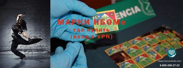 тгк Нея