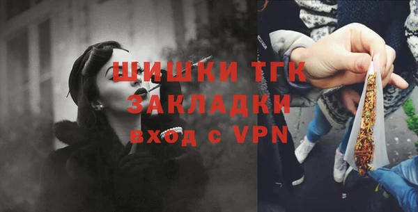 тгк Нея