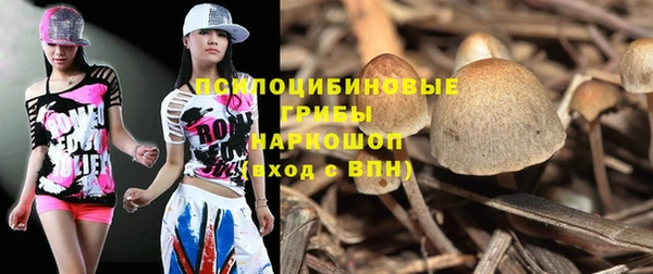 тгк Нея