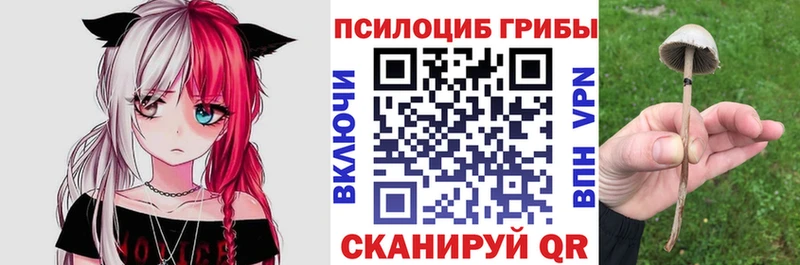 OMG как зайти shop состав Галлюциногенные грибы Magic Shrooms Заволжск